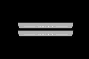 Illuminated LED Door Sill Tread Plates Tesla Model Y 2020+ With Model Y Logo Tesla Led Door Sills opdesign