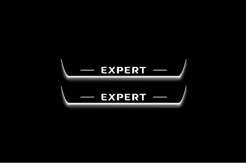 Peugeot Expert III K0 Stainless Steel LED Door Sills – Expert Logo