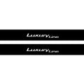 BMW 3 G20 2019+ Illuminated Matte Sill Plates with logo Luxury Line BMW Led Door Sills PRO opdesign