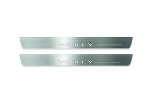 Tesla Model Y 2020+ Stainless Steel LED Door Sills – Model Y Logo