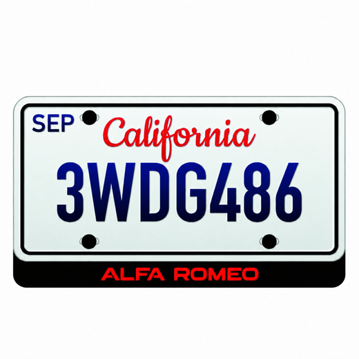 Alfa Romeo LED License Plate Badge — ALFA ROMEO or Custom Text