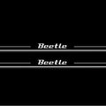 Volkswagen Beetle 2010+ Stainless Steel LED Door Sills – Beetle Logo