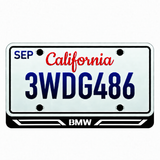 BMW BMW Line illuminated LED license plate badge beneath an illustrative US plate; plate not included