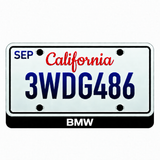 BMW BMW wordmark illuminated LED license plate badge beneath an illustrative US plate; plate not included