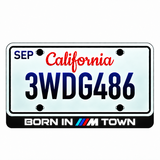 Born in M Town LED License Plate Badge — Standard or Custom