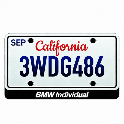 BMW Individual LED License Plate Badge — Standard or Custom