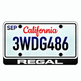 Buick Regal illuminated LED license plate badge with solid lettering below an illustrative US plate; plate not included
