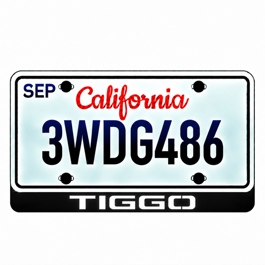 Chery TIGGO LED License Plate Badge — Standard or Custom