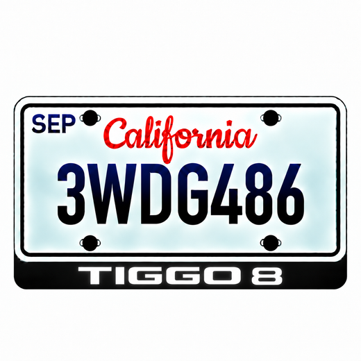 Chery TIGGO 8 LED License Plate Badge — Standard or Custom