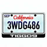 Chery TIGGO 9 illuminated LED license plate badge with solid lettering below an illustrative US plate; plate not included