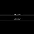 Dodge Challenger 2008-2023 LED Door Sills Illuminated Scuff HELLCAT Logo Stainless Steel Entry Guards Door Sills Decoin