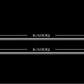 Skoda Karoq 2018+ Stainless Steel LED Door Sills – Karoq Logo