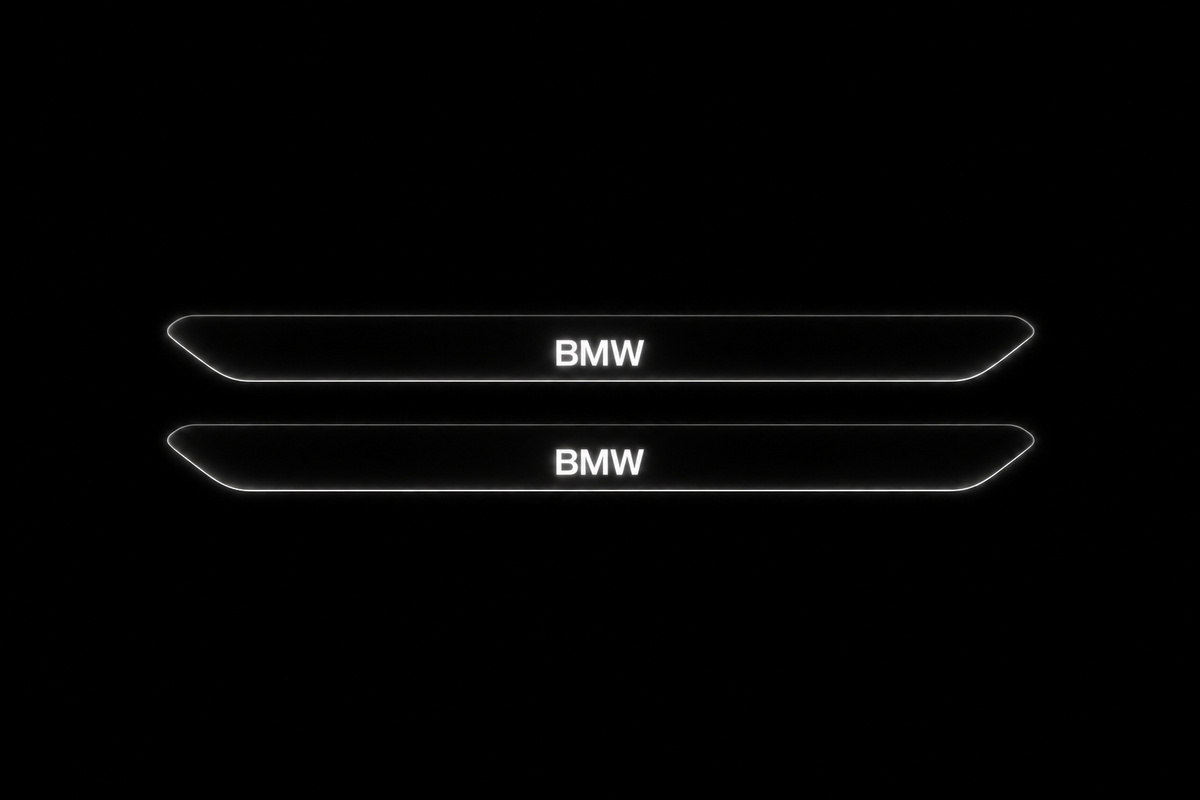 BMW OEM Front stainless Night