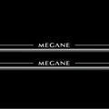 Renault Megane II 2002+ Stainless Steel LED Door Sills – Megane Logo