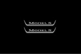 Tesla Model S 2012+ Stainless Steel LED Door Sills – Model S Logo