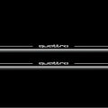Audi A6 C8 2018+ Stainless Steel LED Door Sills – Quattro Logo
