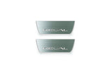 stainless steel door sill plates for Buick Regal VI 2017+ with Regal logo