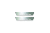 Ford Kuga I 2008+ illuminated entry guards in stainless steel with Titanium logo
