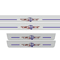 RAM 2500 V 2019+ entry guards in stainless steel with TRX logo