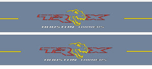 RAM 1500 V 2019+ illuminated entry guards in stainless steel with Illuminated Houston Owners TRX logo
