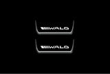 Mercedes-Benz E W213 2016+ Stainless Steel LED Door Sills – Wald Logo