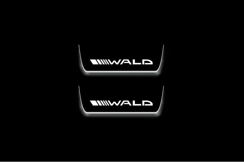 Mercedes-Benz E W213 2016+ Stainless Steel LED Door Sills – Wald Logo