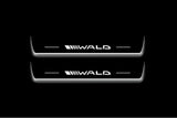 Mercedes-Benz E W213 2016+ Stainless Steel LED Door Sills – Wald Logo