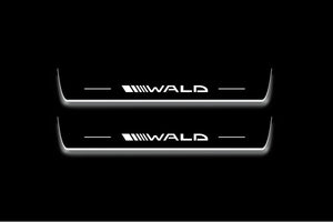 Mercedes-Benz E W213 2016+ Stainless Steel LED Door Sills – Wald Logo