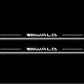 Mercedes-Benz C Coupe W204 Stainless Steel LED Door Sills – Wald Logo
