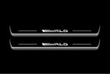 Mercedes-Benz E W211 2002+ Stainless Steel LED Door Sills – Wald Logo