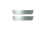 Tesla Model Y 2020+ Stainless Steel LED Door Sills – Model Y Logo